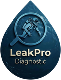 LeakPro Diagnostic