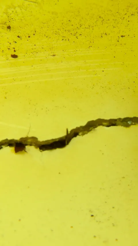 Crack across the pool wall.