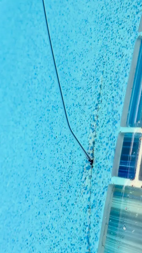 Dye test along the tile line.