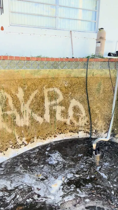 Algae thick enough to write in.