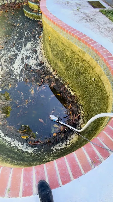 Black-green water full of debris.