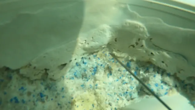 The drain's edge up close, underwater.
