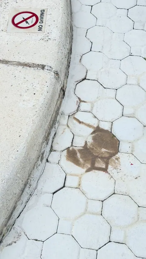 Wet patches surfacing through the pavers.