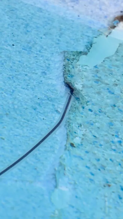Dye follows the crack in: it's leaking.